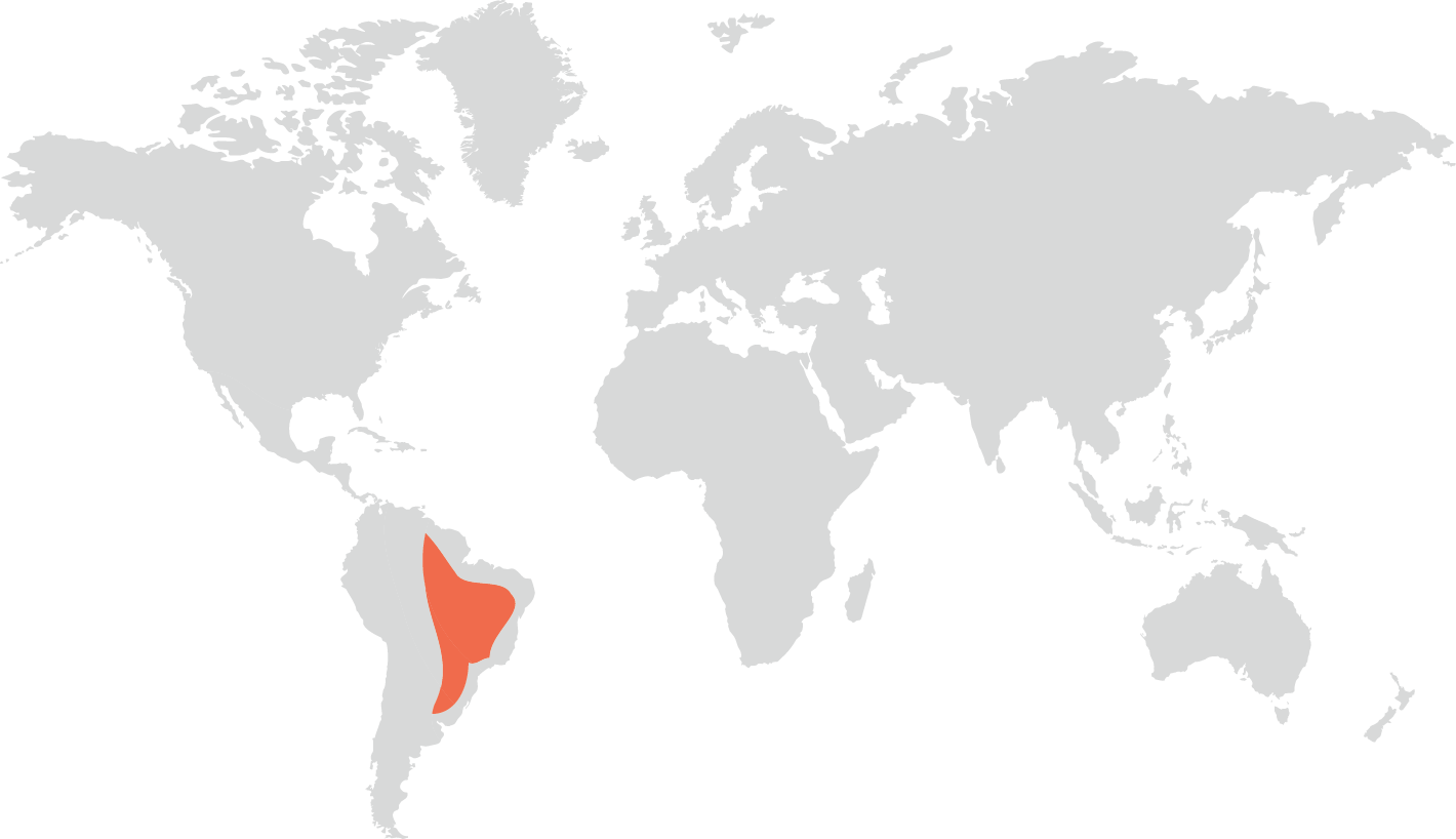 Distribuição geográfica do cachorro do mato